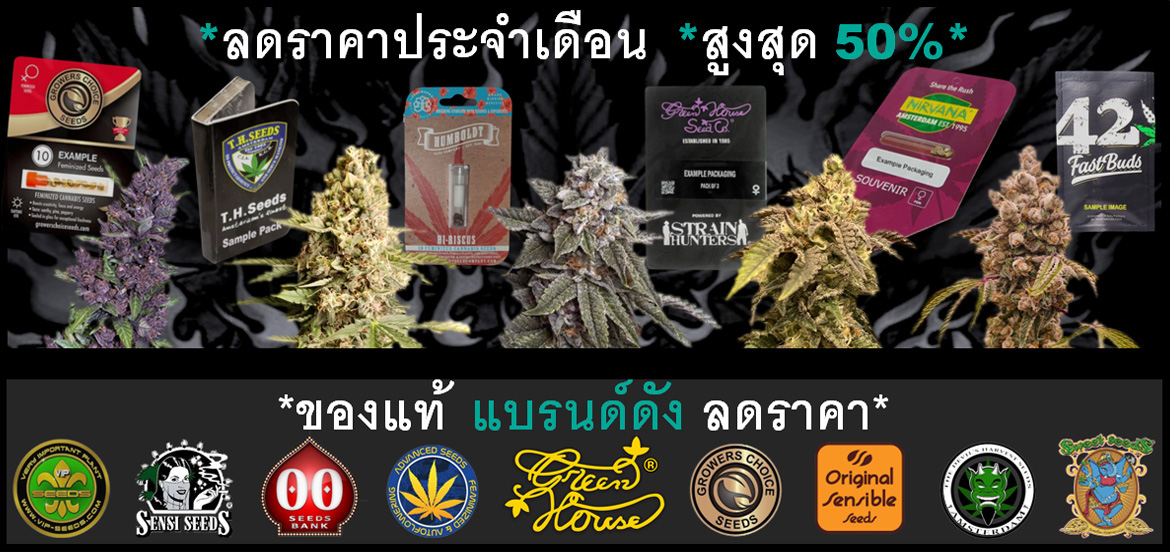 ส่วนลดธนาคารเมล็ดพันธุ์กัญชาแบรนด์ดัง ซื้อสายพันธุ์กัญชาพันธุ์แท้ราคาถูก